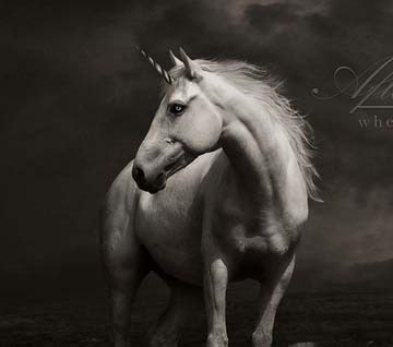 企业级安全可靠的手机版ddos攻击器