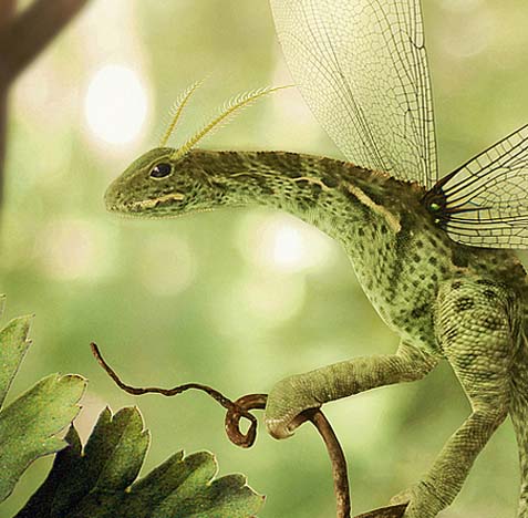 ddos攻击器安卓ios下载